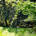 Support de plante en métal pour plantes grimpantes, obélisque de jardin, acier avec revêtement en poudre noir, 200 cm de hauteur