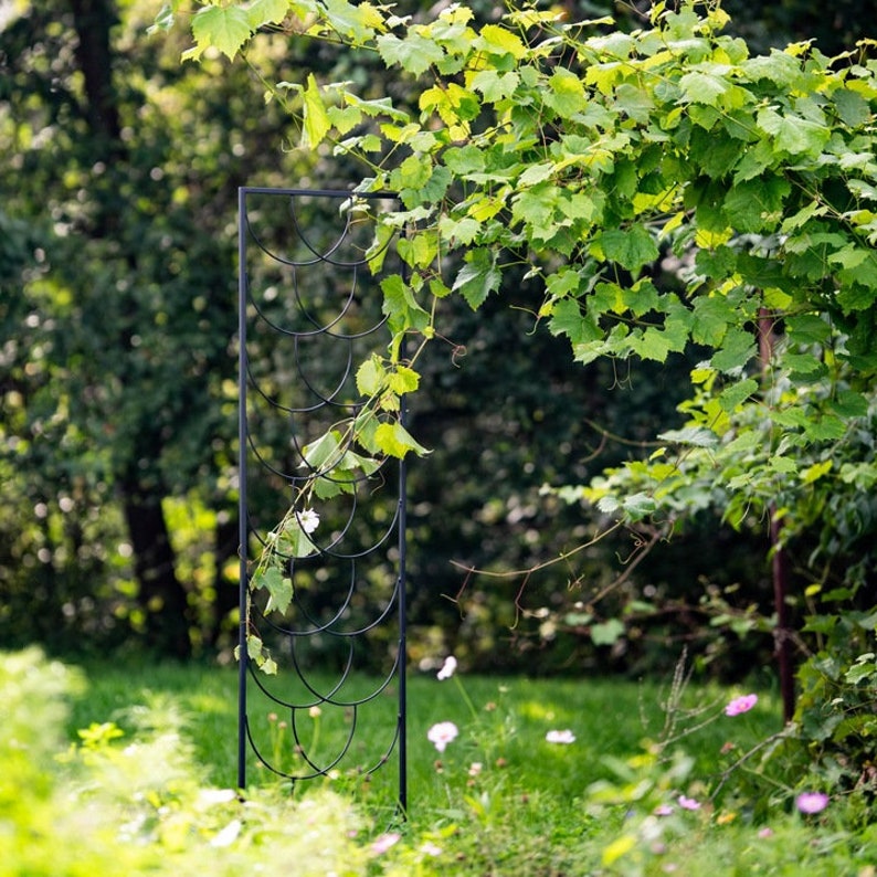 Support de plante en métal pour plantes grimpantes, obélisque de jardin, acier avec revêtement en poudre noir, 200 cm de hauteur