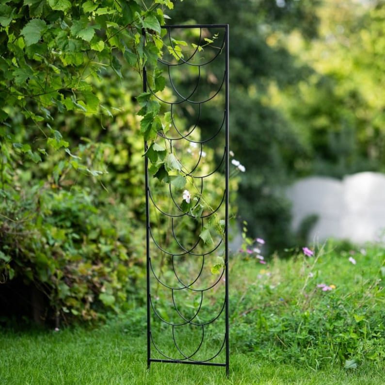 Support de plante en métal pour plantes grimpantes, obélisque de jardin, acier avec revêtement en poudre noir, 200 cm de hauteur