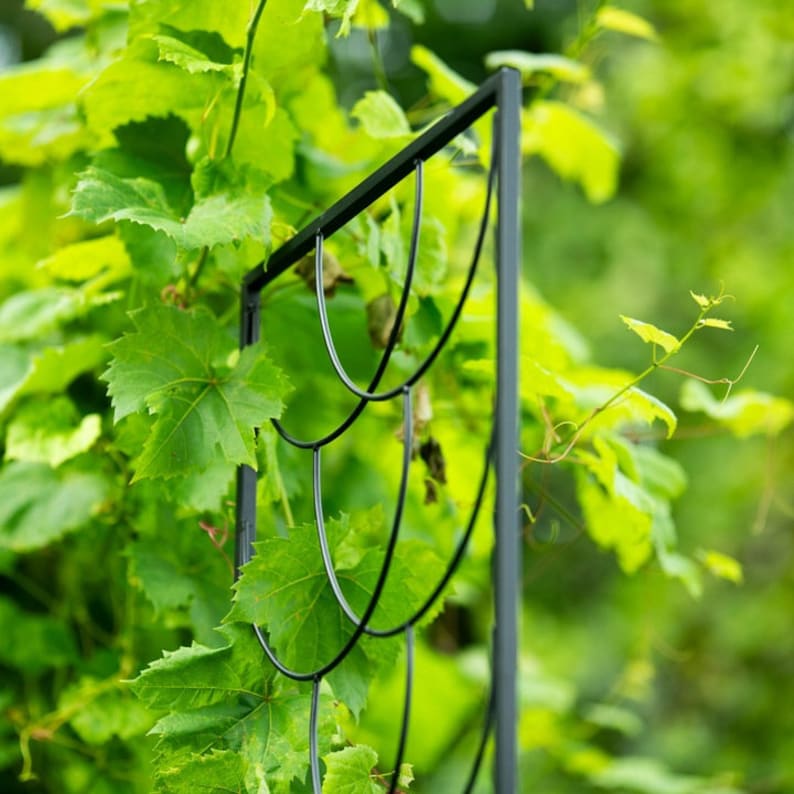 Support de plante en métal pour plantes grimpantes, obélisque de jardin, acier avec revêtement en poudre noir, 200 cm de hauteur