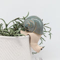 Suspension en céramique pour pots d'escargots, décoration de jardin et d'intérieur, taille L5 x l5 x H8 cm, couleur sable/vert