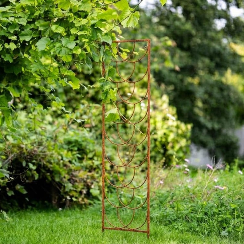 Support de plante en métal pour plantes grimpantes, obélisque de jardin, acier avec revêtement en poudre noir, 200 cm de hauteur