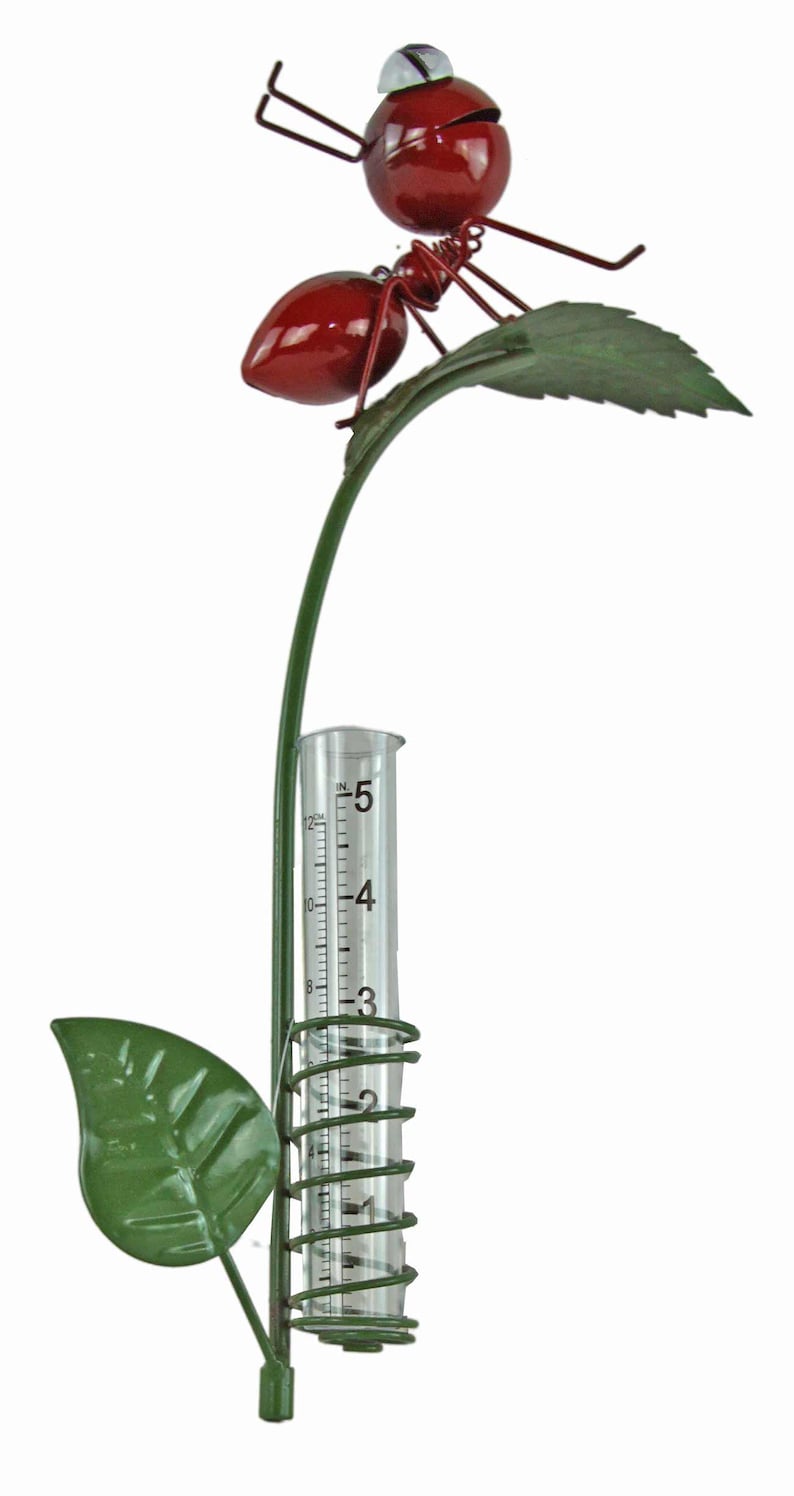 Pluviomètre de Jardin avec Piquet, Fourmi Rouge sur Feuille Verte, Métal Résistant aux Intempéries, Double Échelle