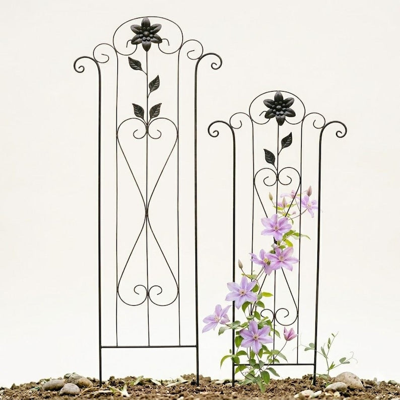 Treillis Barcelone Petit 120x50 cm Métal Noir-Brun pour Plantes Grimpantes