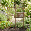 Treillis Métal Rouille en Forme de Coeur pour Plantes Grimpantes, Jardin, Balcon (72 cm)