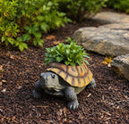 Jardinière Tortue en Résine pour Plantes Succulentes, Décoration de Jardin Extérieur