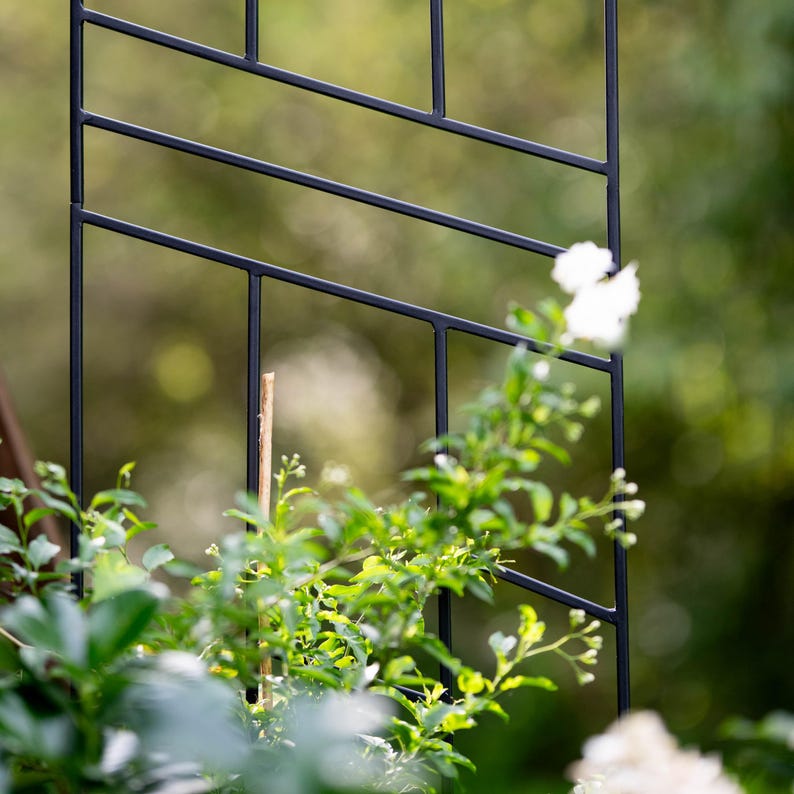 Grand Support pour Plantes en Métal, Décoration en Acier Peint en Noir, 200 cm