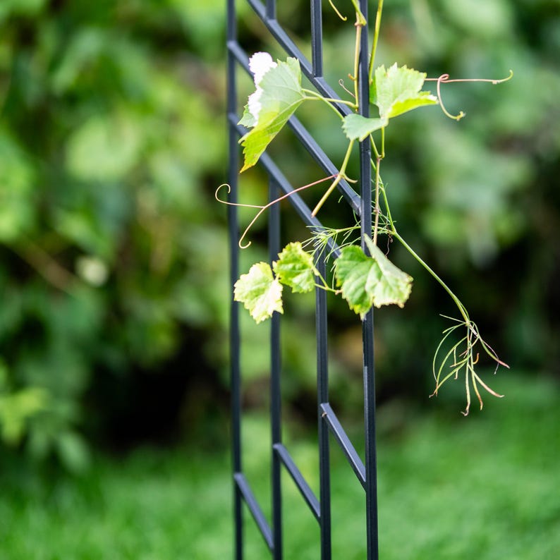 Grand Support pour Plantes en Métal, Décoration en Acier Peint en Noir, 200 cm