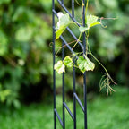 Grand Support pour Plantes en Métal, Décoration en Acier Peint en Noir, 200 cm