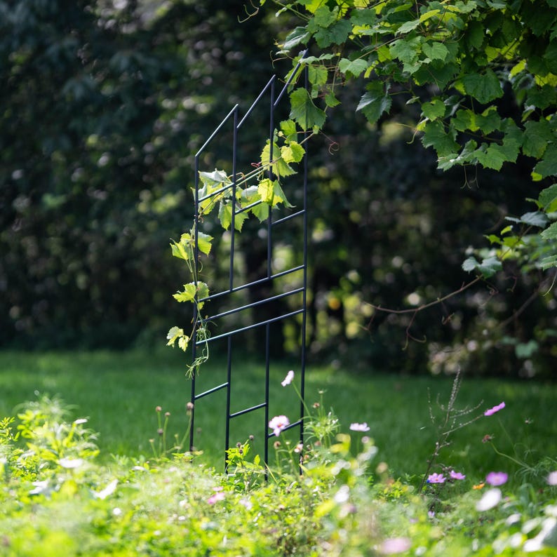 Grand Support pour Plantes en Métal, Décoration en Acier Peint en Noir, 200 cm