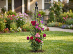 Treillis Obélisque de Jardin en Métal pour Plantes Grimpantes, 90 cm, avec Décoration Oiseau ou Bouton de Fleur