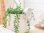 Support pour pot de fleurs en forme de canard en équilibre sur la tête, décoration de jardin