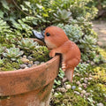 Lot de 3 Décorations de Jardin en Résine – Pot Suspendu Ornithorynque, Figurine Succulente avec Mousse