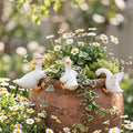 Lot de 3 Supports pour Pots de Fleurs Résine Forme Canard Décor Jardin