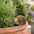 Mini Hérisson en Résine, Décoration Jardin Féérique, Ornement Bonsaï, Accessoire Micro-Paysage Forestier